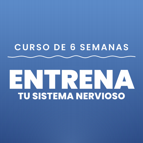 Curso de 6 Semanas — Entrena tu Sistema Nervioso
